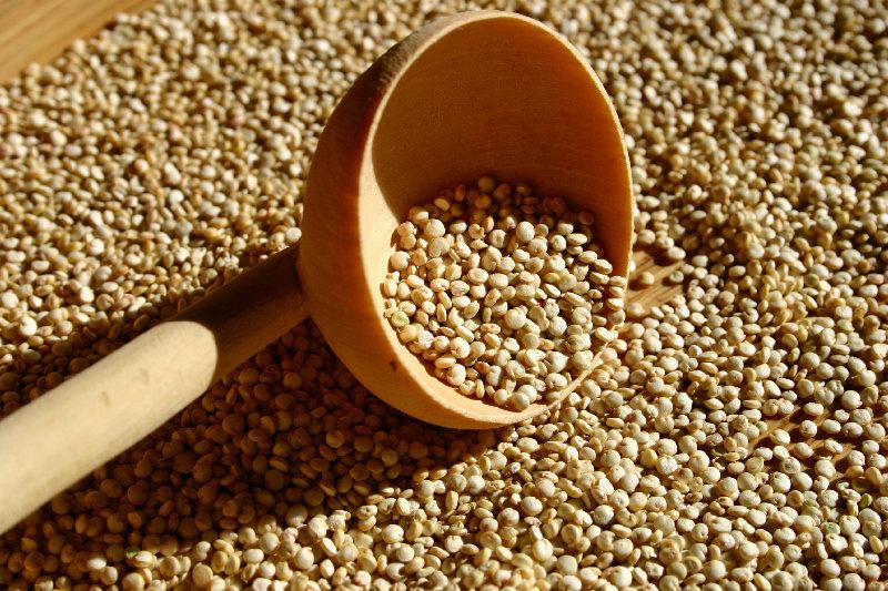 какие белковые продукты для похудения по дюкану какие белковые продукты для похудения по дюкану