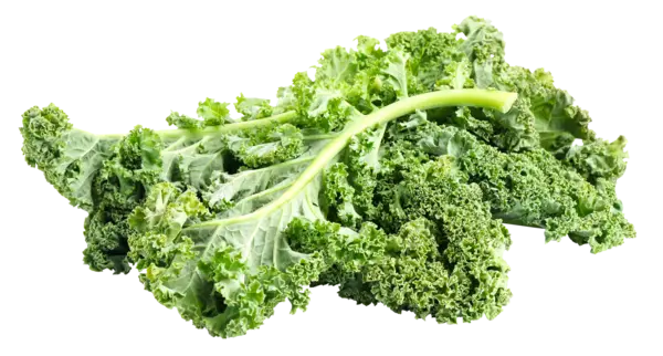 Листья кейла
