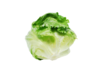 Салат айсберг (листьями)