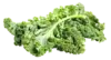 Листья кейла