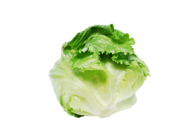 Купить салат айсберг (листьями) оптом для ресторанов и кафе | HoReCa ...